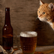 Image for article titled Why You Always See Cats at Breweries